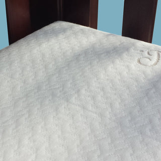 Moonlight Little Dreamer Premium Cotton Waterproof Mattress Cover