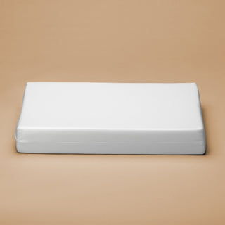 Moonlight Little Dreamer Mini Crib Mattress