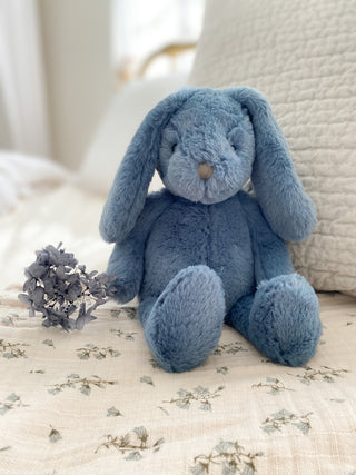 Mon Ami Blue Bunny