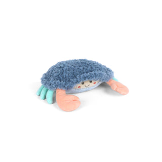 Mon Ami Shy Crab