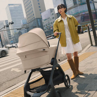 Bugaboo Dragonfly Plus Seat/Bassinet Complete - 36