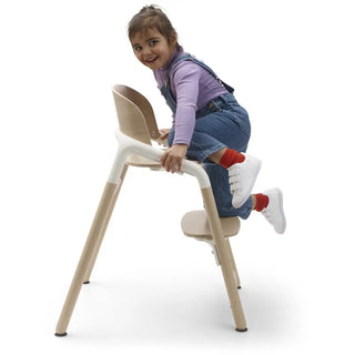 Bugaboo Giraffe Complete - 13