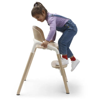 Bugaboo Giraffe Complete - 12