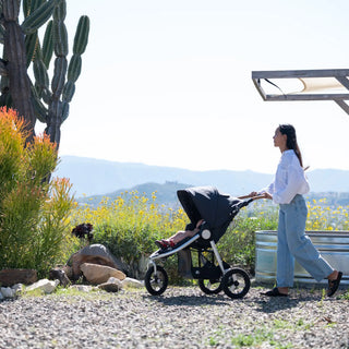 Bumbleride Indie All-Terrain Stroller - 32