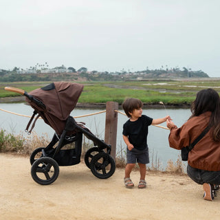 Bumbleride Indie Twin | All-Terrain Double Stroller - 6