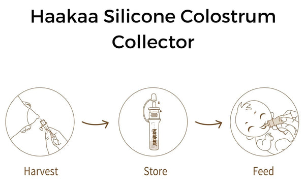 Haaka Silicone Colostrum Collector Set - Just $22.95! Shop now at The Pump Station & Nurtury
