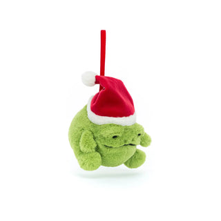 Jellycat Ricky Rain Frog Decoration - 3