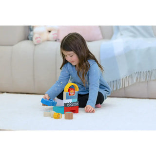 JTC Wooden Shape & Animal Blocks 12m+ - 2