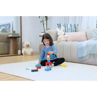 JTC Wooden Shape & Animal Blocks 12m+ - 3