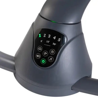 Maxi-Cosi Cassia Swing - 15