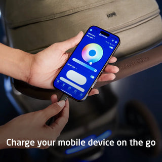 Maxi-Cosi Fame Modular Stroller - 6