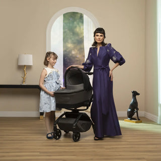 Maxi-Cosi Kindred Carriage Accessory - 12
