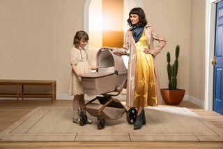 Maxi-Cosi Kindred Carriage Accessory - 25