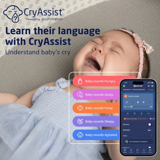 Maxi-Cosi Kindred Sibia Bassinet - 7