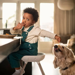 Maxi-Cosi Moa 8-in-1 High Chair - 38