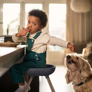 Maxi-Cosi Moa 8-in-1 High Chair - 63