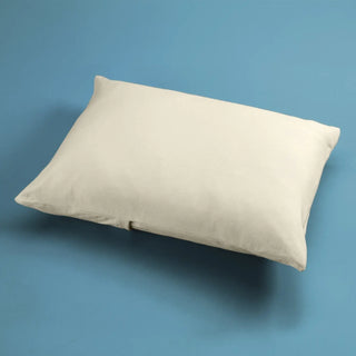 Moonlight Slumber Little Dreamer Toddler Pillow with Organic Cover - 1