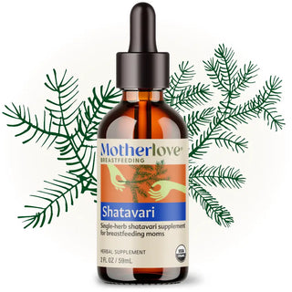 Motherlove Shatavari Tincture 2 oz - 1