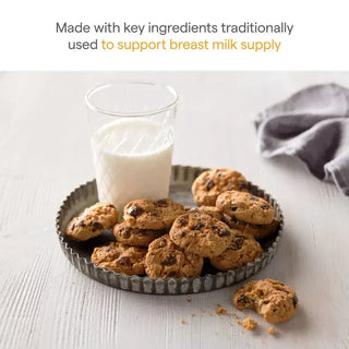 Munchkin Milkmakers Lactation Cookie Bites - Single Pack 1.5oz Oatmeal Choc Chip - 5
