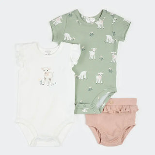 Petit Lem 3 Piece Set: 2 bodysuits + 1 short S1 OffWhite lamb / NB - 1