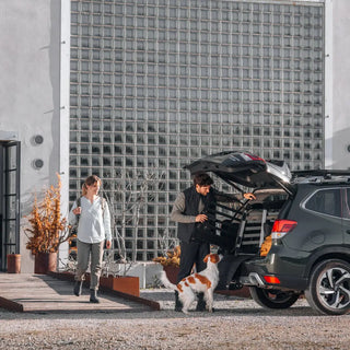 Thule Allax Dog Crate Car - 15