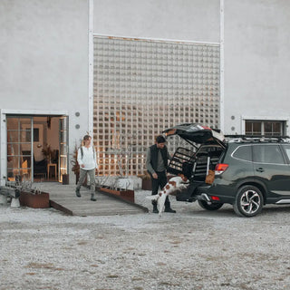 Thule Allax Dog Crate Car - 16