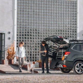 Thule Allax Dog Crate Car - 19