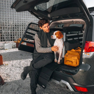 Thule Allax Dog Crate Car - 18