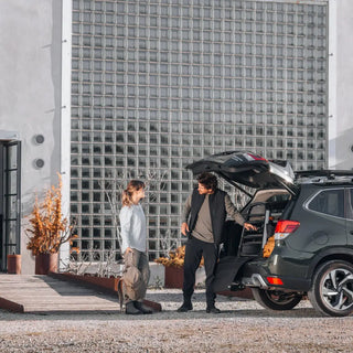 Thule Allax Dog Crate Car - 21