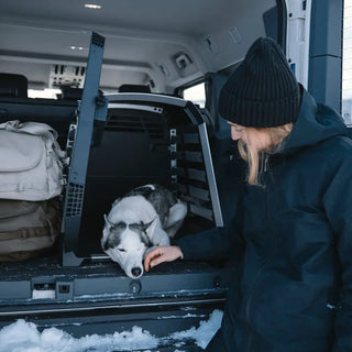 Thule Allax Dog Crate Car - 14