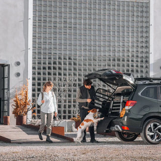 Thule Allax Dog Crate Car - 20