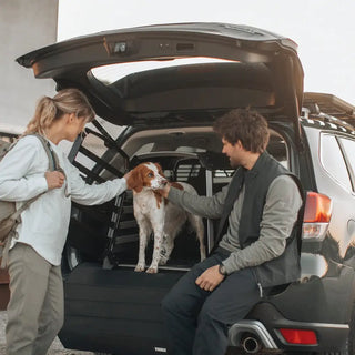 Thule Allax Dog Crate Car - 17