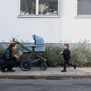 Thule Bassinet - 28