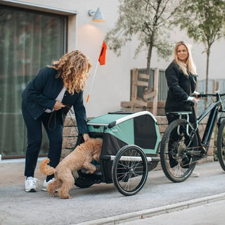 Thule Bexey Dog Bike Trailer - Open Box - 27