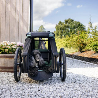 Thule Bexey Dog Bike Trailer - Open Box - 19