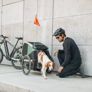 Thule Bexey Dog Bike Trailer - Open Box - 33