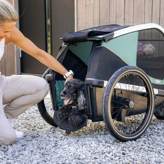 Thule Bexey Dog Bike Trailer - Open Box - 22