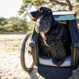Thule Bexey Dog Bike Trailer - Open Box - 23
