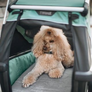 Thule Bexey Dog Bike Trailer - Open Box - 28