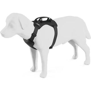 Thule Cappy Dog Car Harness - 4