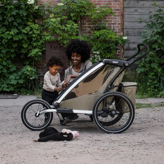 Thule Chariot All-Terrain Kit - 4