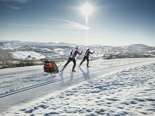 Thule Chariot Cross-Country 2 Skiing Kit - 3