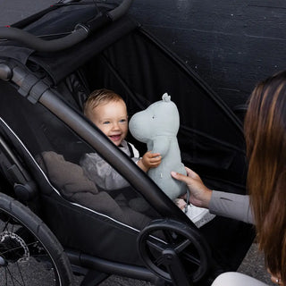 Thule Chariot Sport 2 Double Black - 8