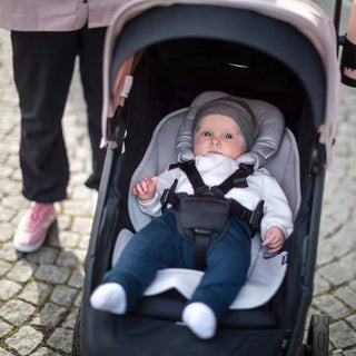 Thule Newborn Inlay Gray - 4