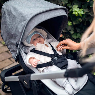 Thule Newborn Inlay Gray - 2