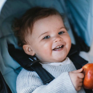 Thule Stroller Seat Liner - 6