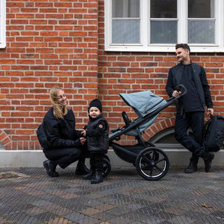 Thule Urban Glide 4-Wheel Stroller - 36