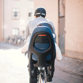 Thule Yepp 2 Maxi Frame Mount - 15