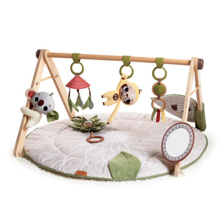 Tiny Love Boho Chic Luxe Developmental Gymini - 1