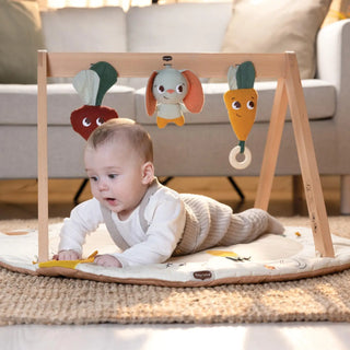 Tiny Love Luxe Developmental Gymini | Garden of Adventures - 10